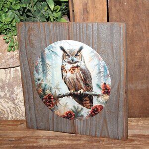 NEW Rustic Distressed Winter Woodland Owl Farmhouse Wall Decor Plaque